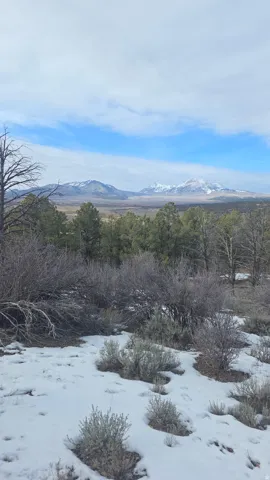 La Sal's