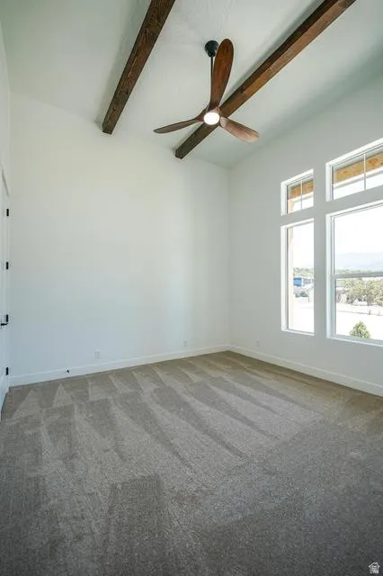 Vaulted white ceiling with exposed wood beams
