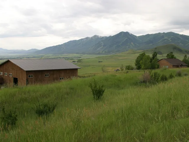 Expansive grassy terrain featuring a large barn with a metal roof and multiple windows, a residential structure with a brown shingle roof, and distant mountain ranges