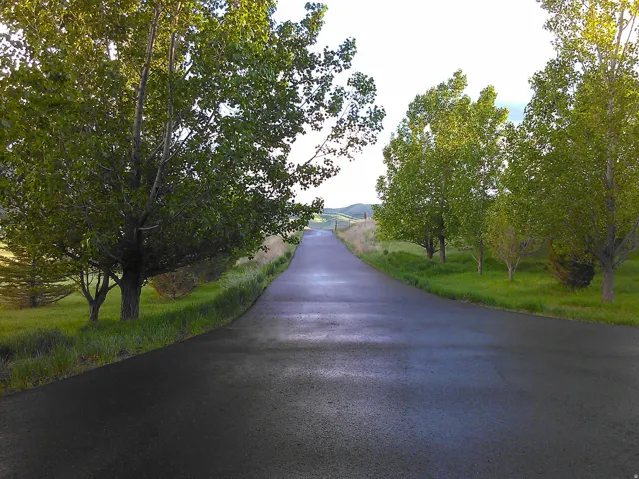 Paved driveway bordered by mature deciduous trees and green grass, leading towards a distant elevated landscape