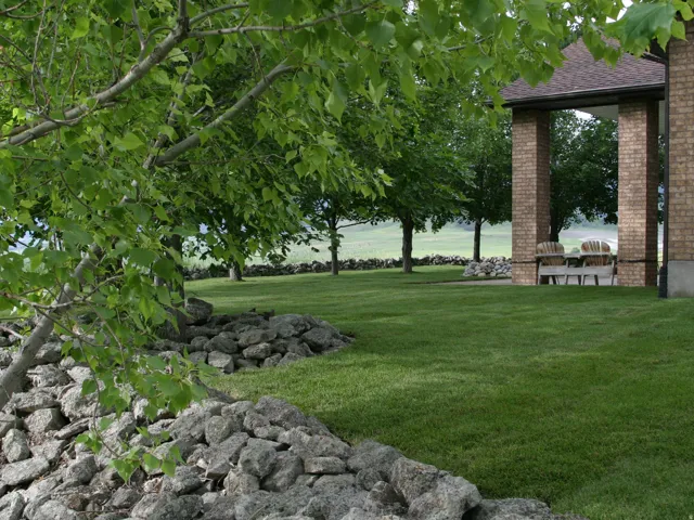 Expansive green lawn featuring a rock-lined border and mature shade trees