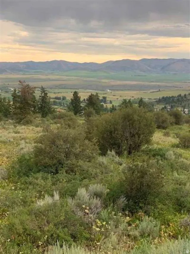 Mountain view