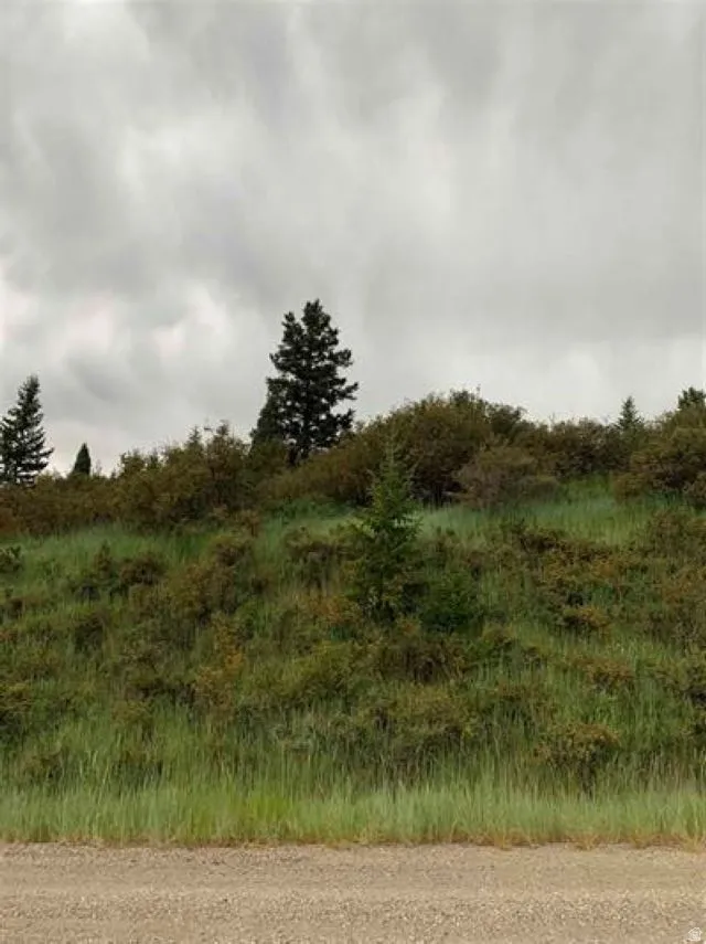 View of undeveloped land