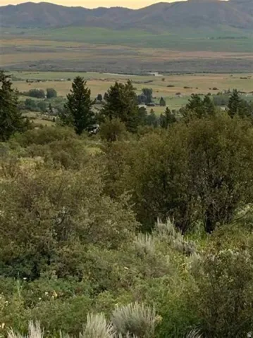 155 Caribou Rd, Soda Springs, Idaho 83276