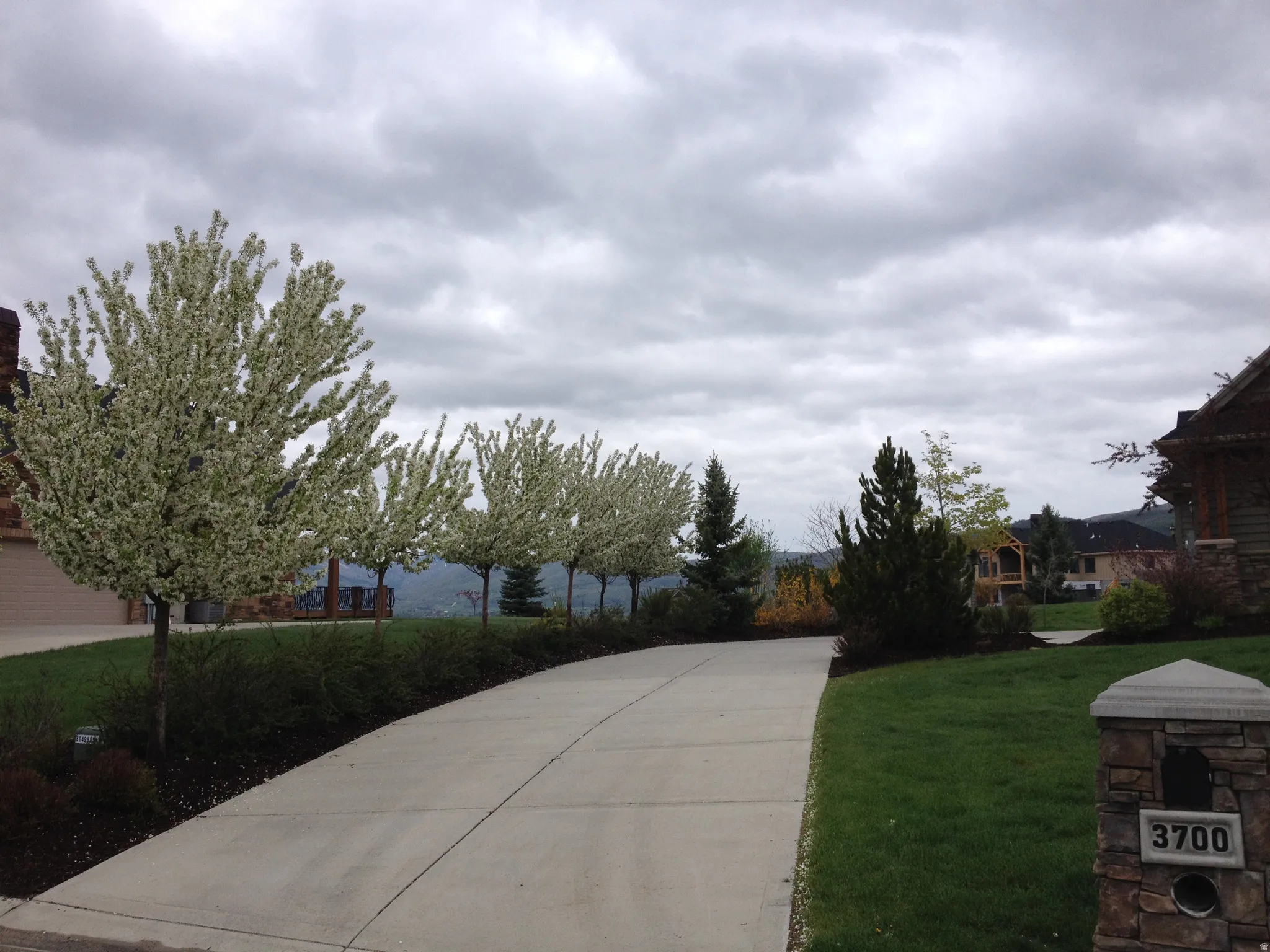 Surrounding community featuring a yard