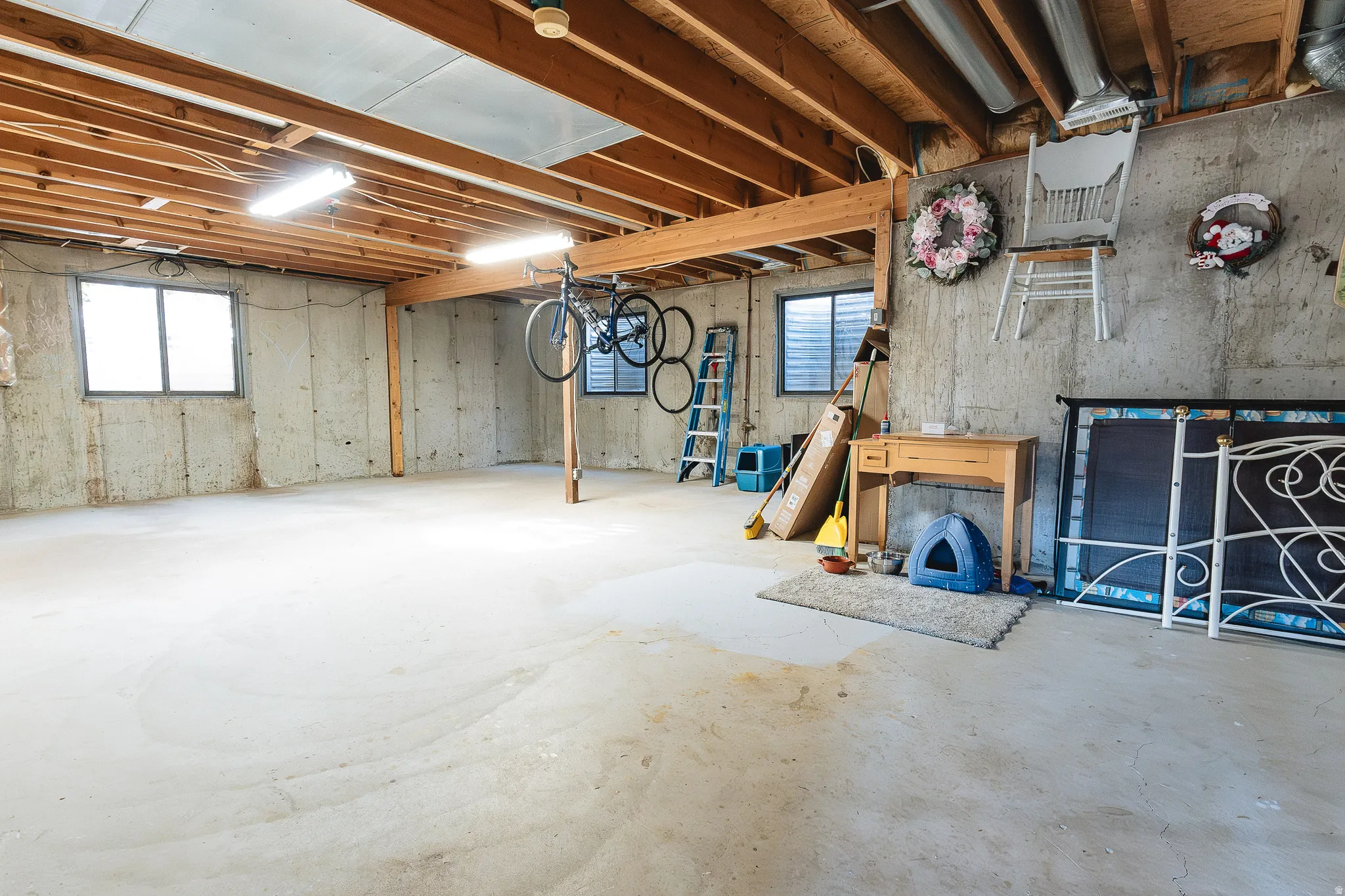 Unfinished Basement Area