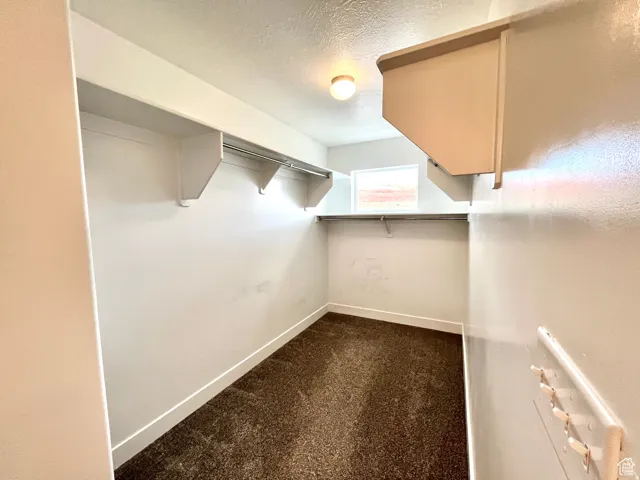 Walk in closet featuring dark carpet
