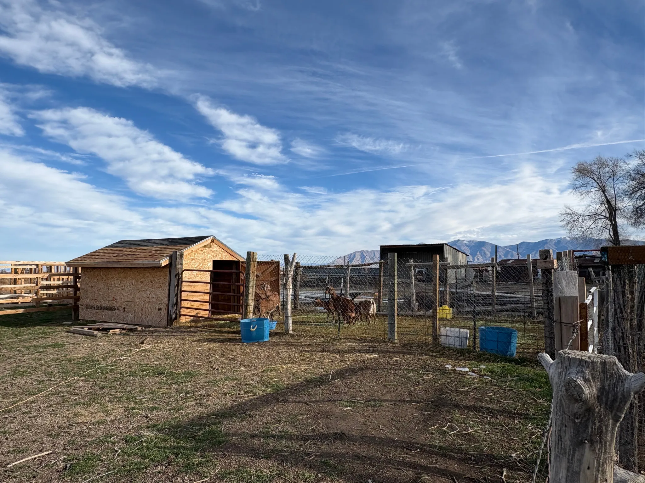 View of yard with an outdoor structure and a mountain view