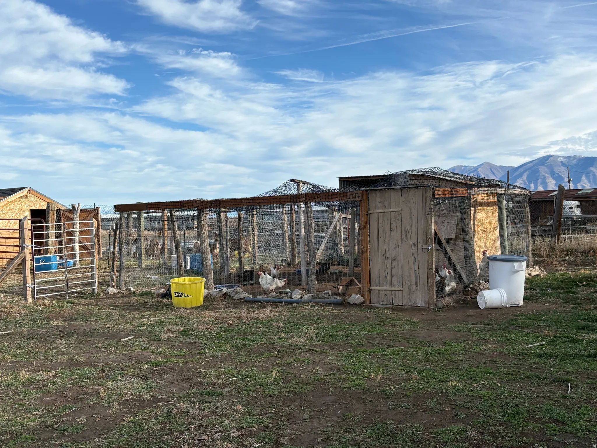 View of poultry coop