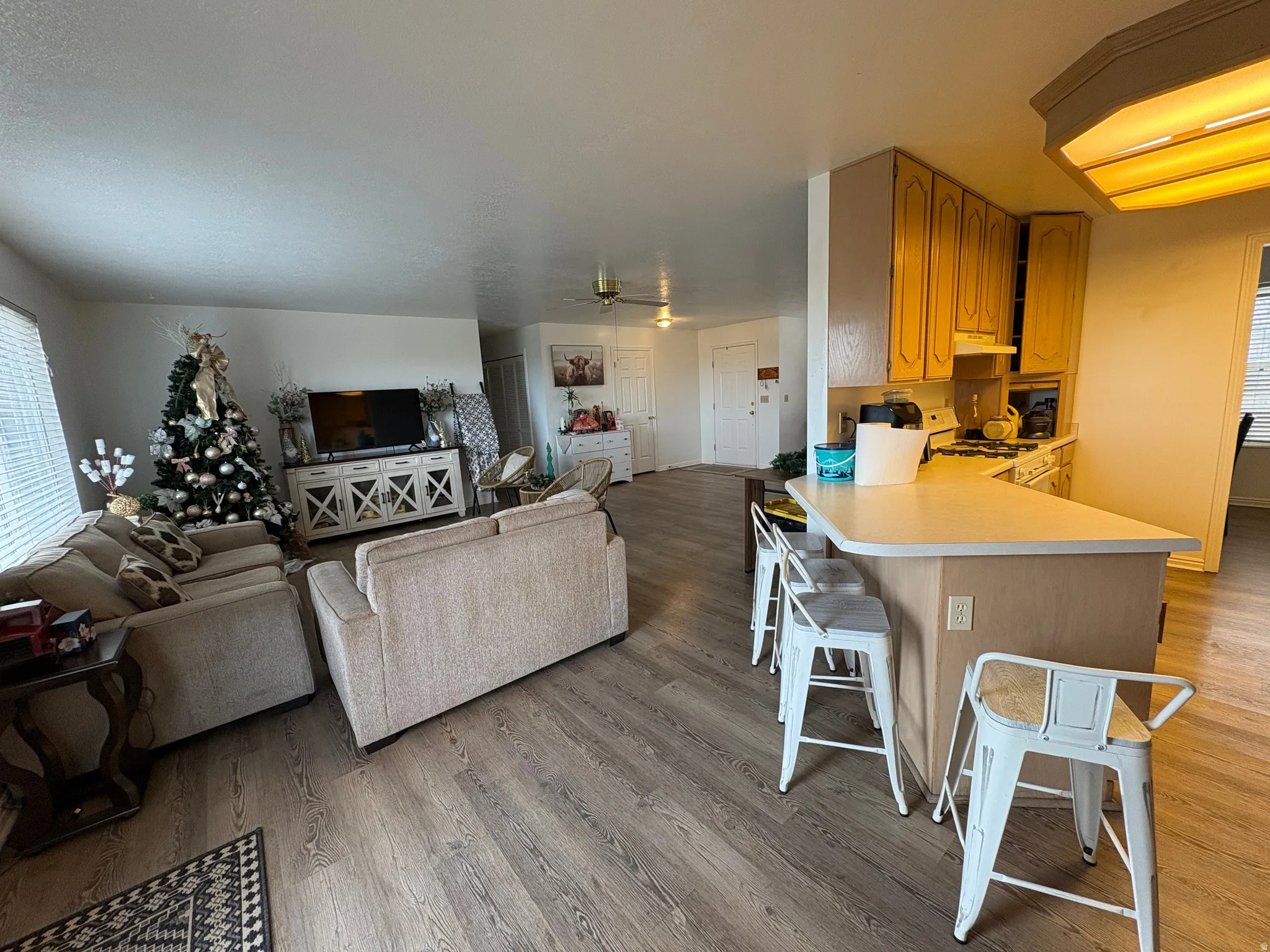 Living room featuring light wood finished floors and ceiling fan