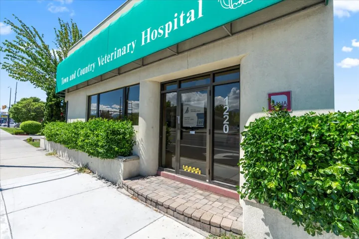 Doorway to property with stucco siding