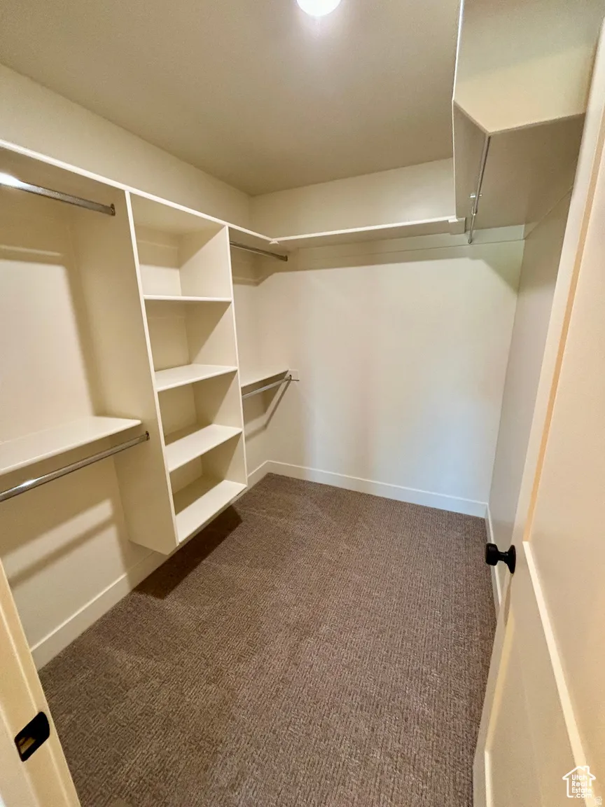 Spacious closet featuring dark colored carpet