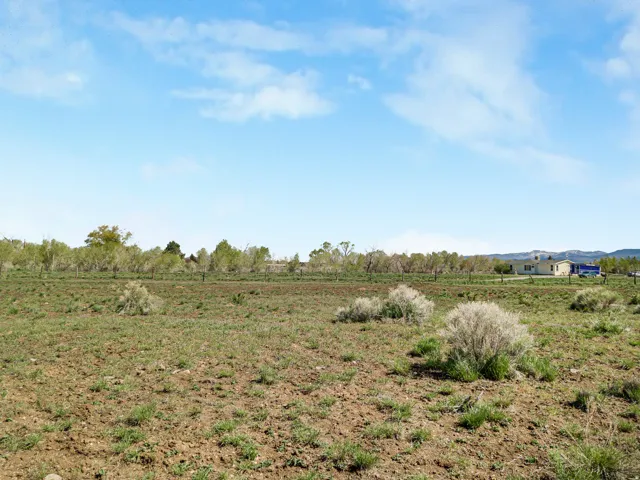 View of yard with a view of rural / pastoral area
