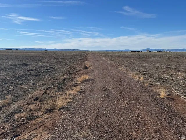 View of dirt / gravel road with a view of rural / pastoral area