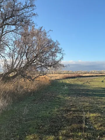 , Lewiston, Utah 84320