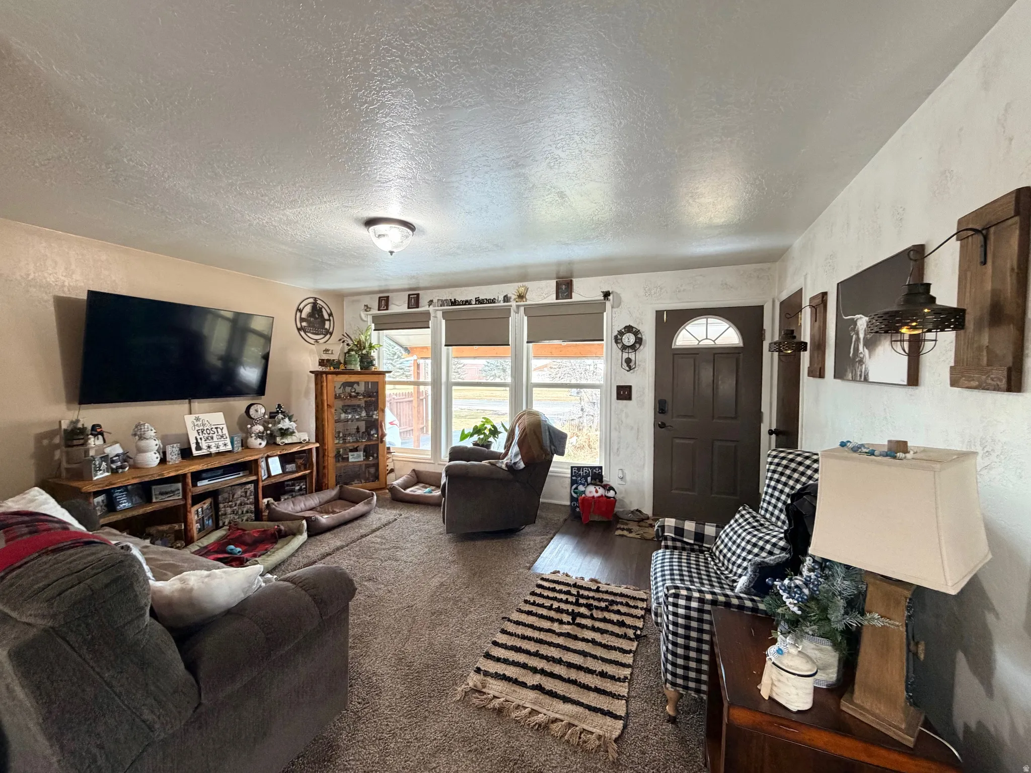 Living room featuring a textured wall, a textured ceiling, and carpet floors