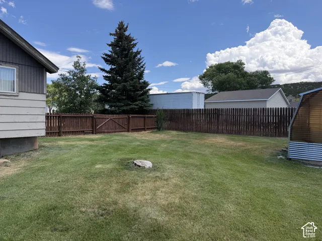 Expansive yard with green lawn, bordered by a privacy fence, featuring a mature evergreen tree