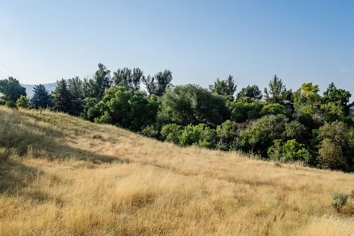 View of tree filled area featuring a view of countryside