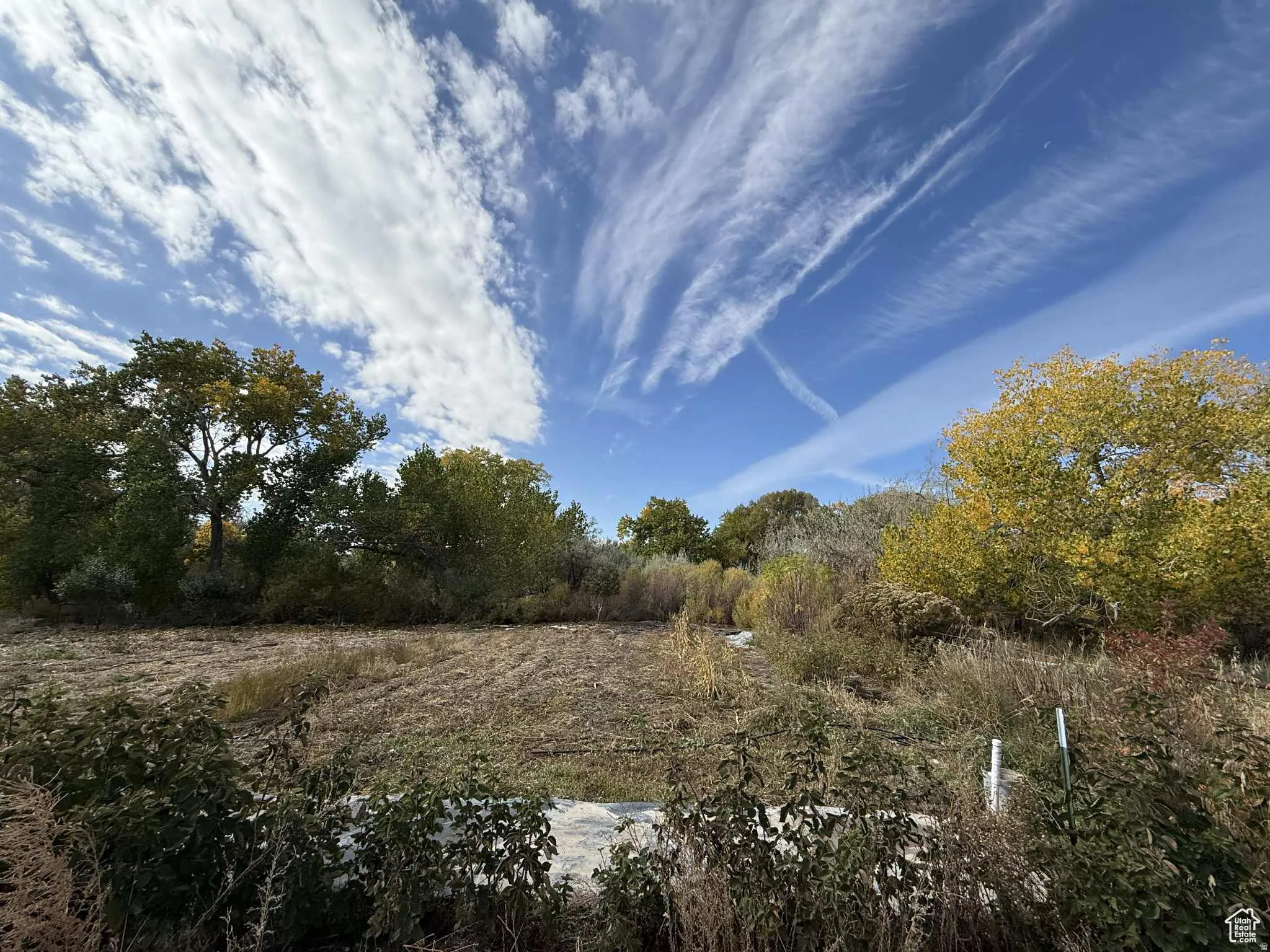 View of undeveloped land