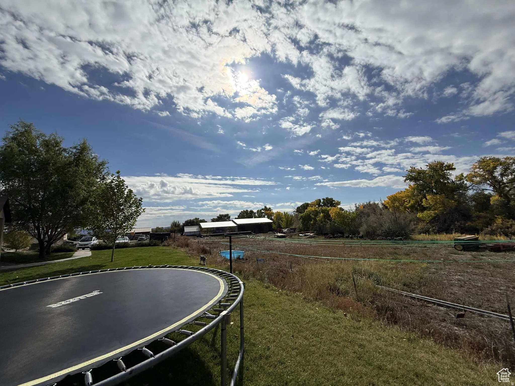 View of grassy yard with a trampoline