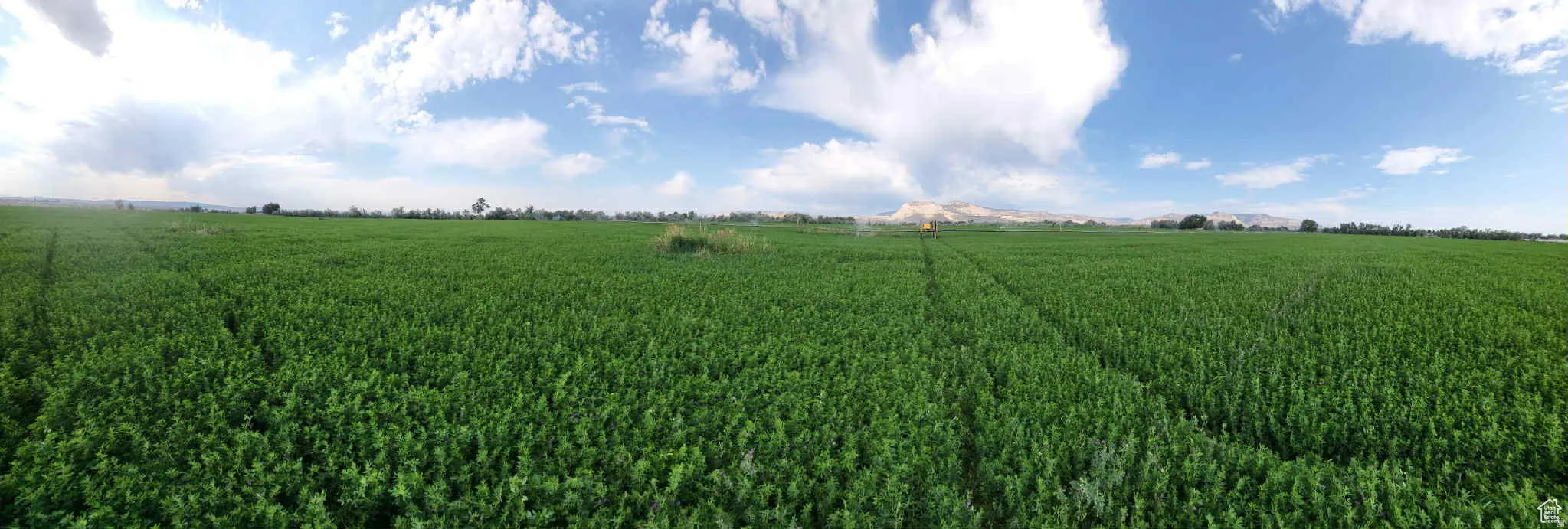 View of grassy yard featuring a rural view