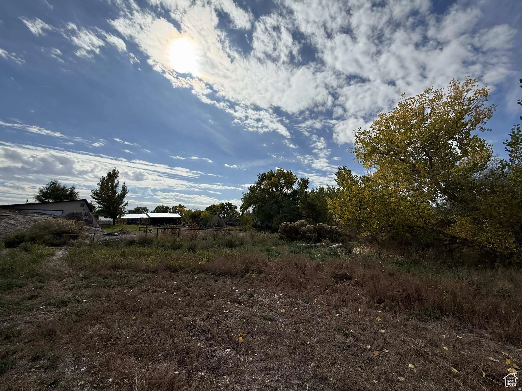 View of local wilderness