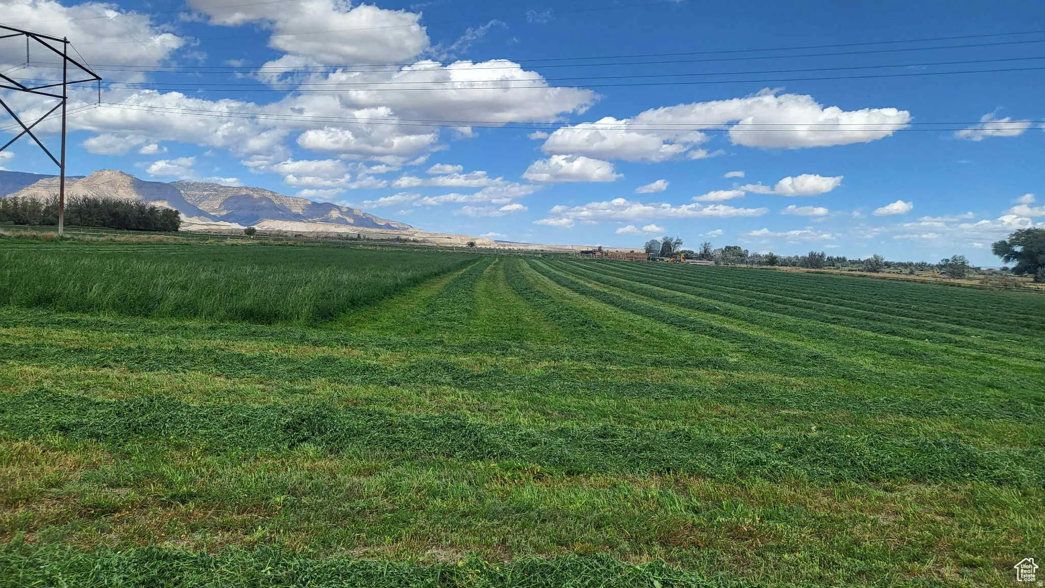 View of green lawn featuring a view of rural / pastoral area and a mountain view