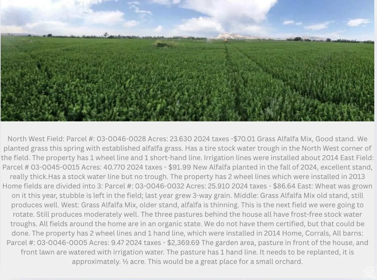 View of miscellaneous document