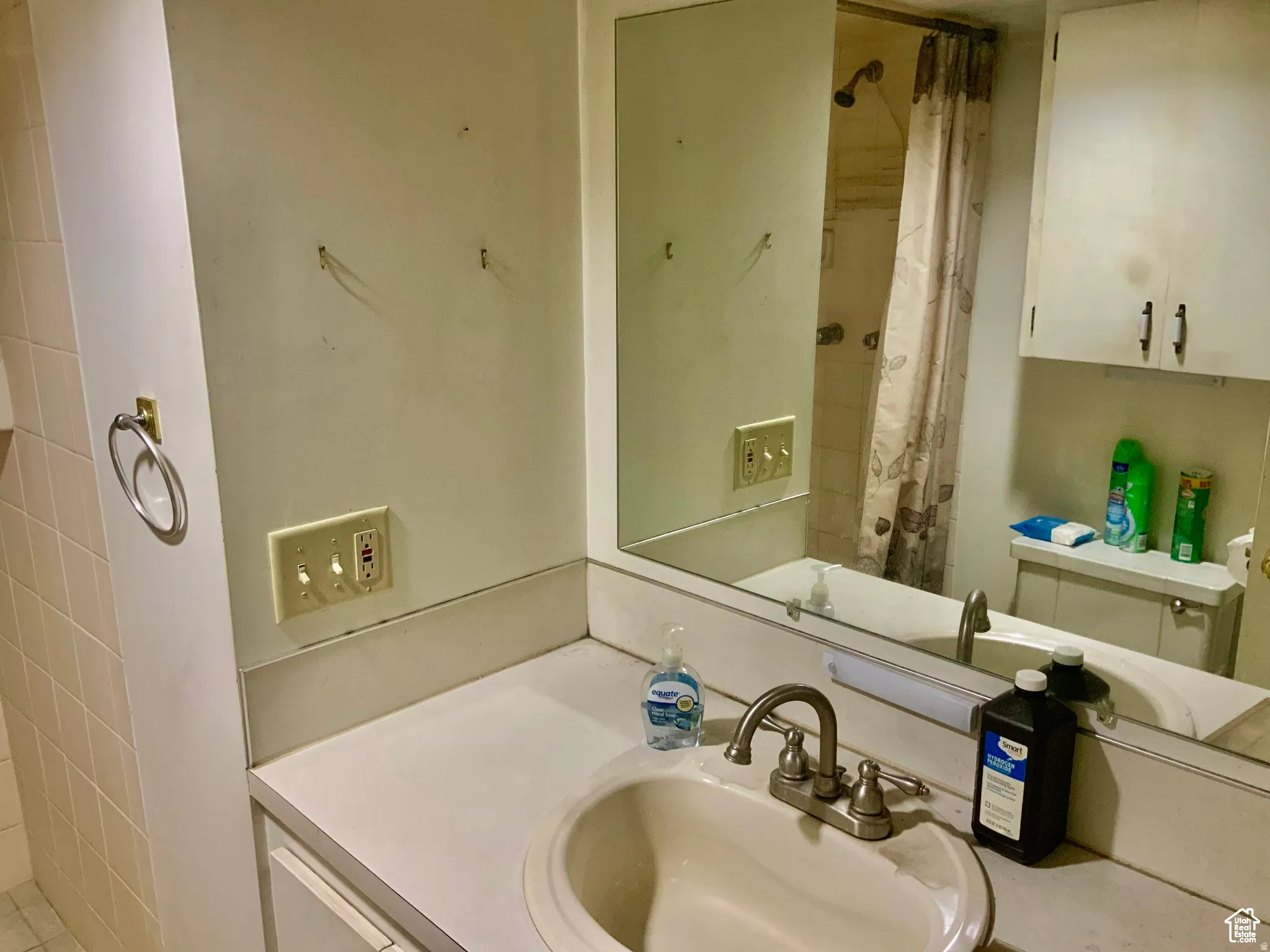 Full bathroom featuring vanity and a shower with curtain