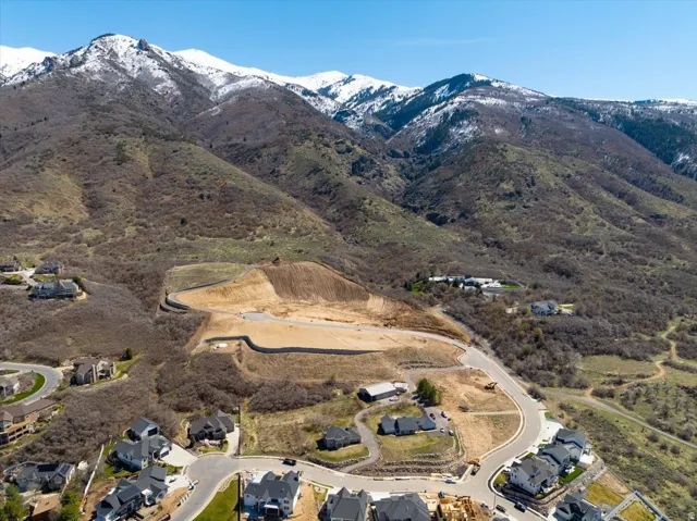 View of mountain background
