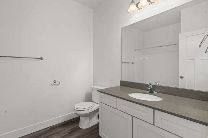 Full bathroom featuring dark wood finished floors, vanity, and a shower