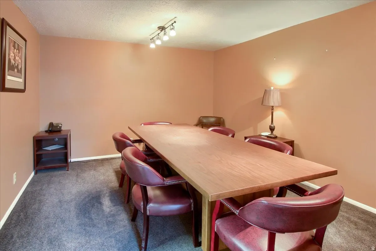 Dining space with dark colored carpet, a textured ceiling, and rail lighting