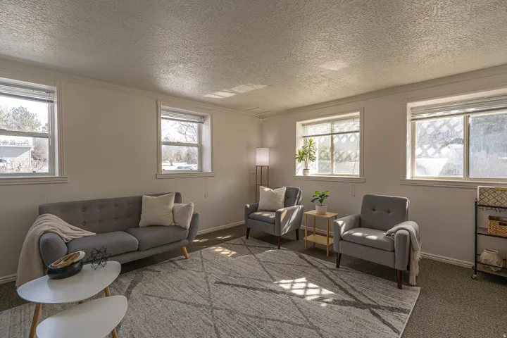 Carpeted living room featuring healthy amount of natural light, a textured ceiling, and ornamental molding