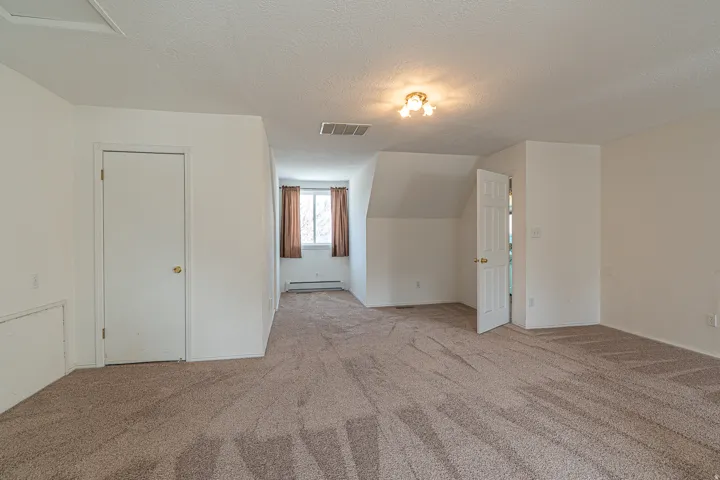 Bonus room featuring a textured ceiling, light colored carpet, and a baseboard radiator