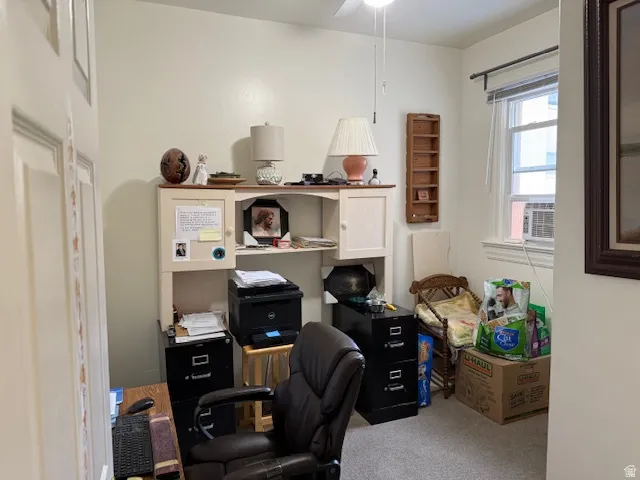 3 Bedroom Lower Unit