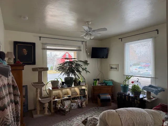 3 Bedroom Lower Unit