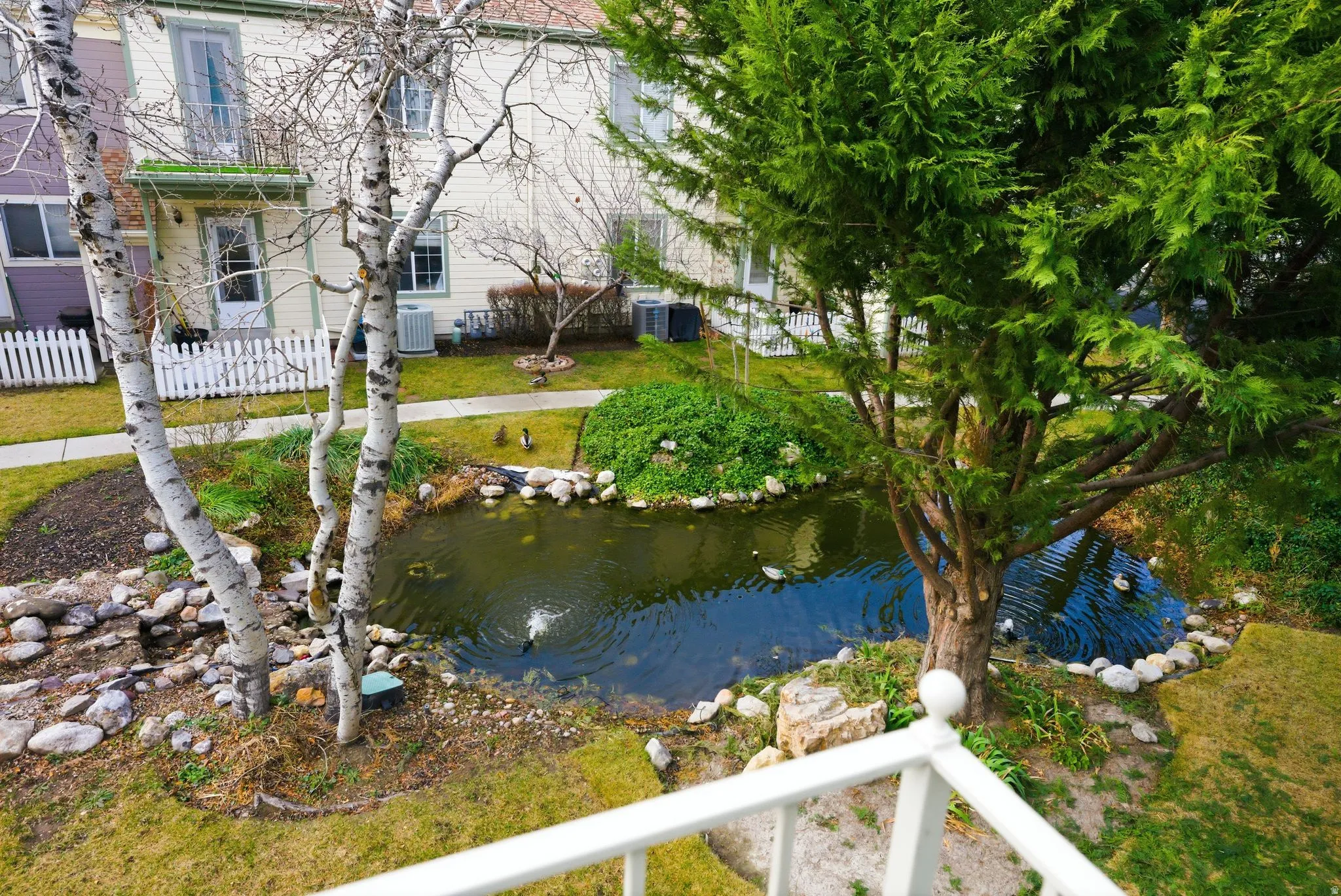 Water view
