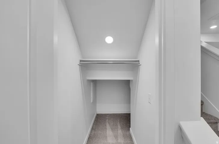 Spacious closet with light carpet