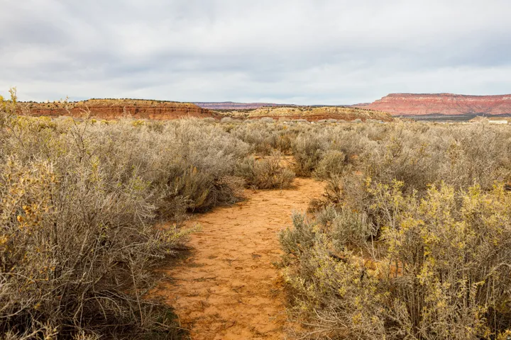 View of mountain backdrop