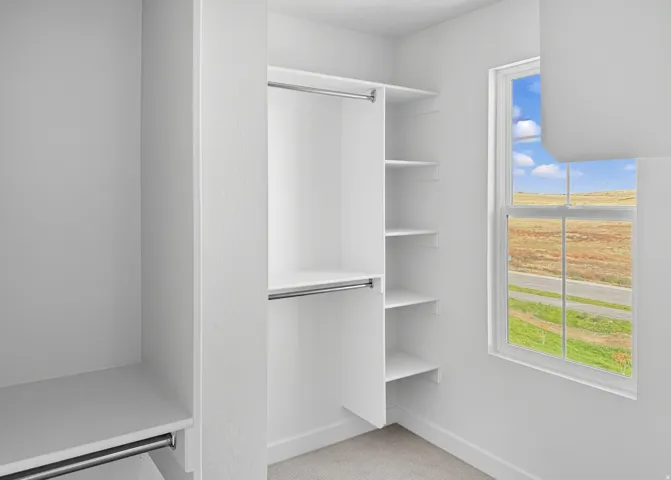 Spacious closet with light colored carpet