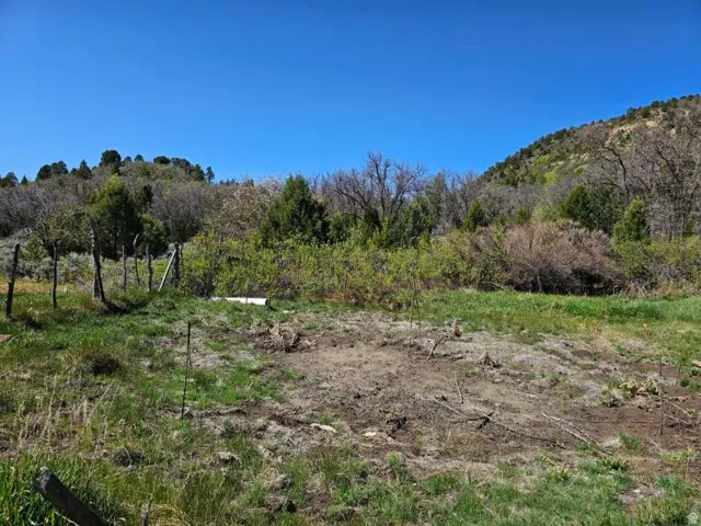 View of undeveloped land