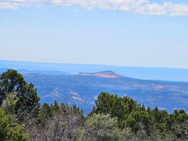 View of mountain background featuring a heavily wooded area