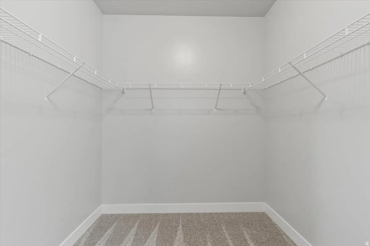 Spacious closet featuring light colored carpet