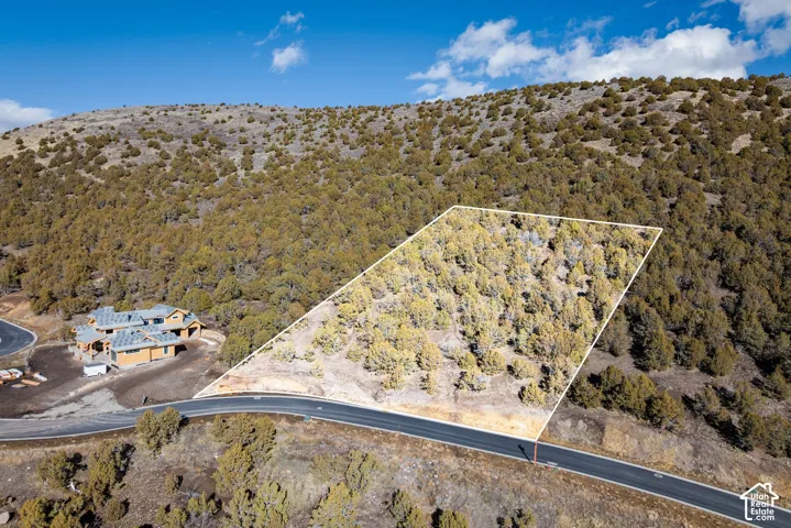 Expansive undeveloped land featuring mature trees and a paved road frontage