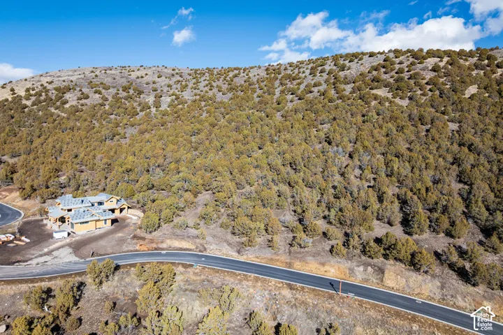 Mountainous terrain with natural vegetation surrounding the property