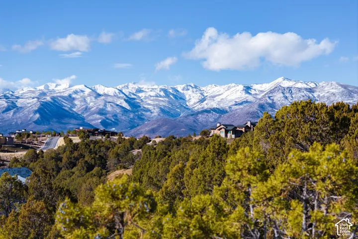 Snow-capped mountain range, expansive natural landscaping, and multiple properties with contemporary architecture