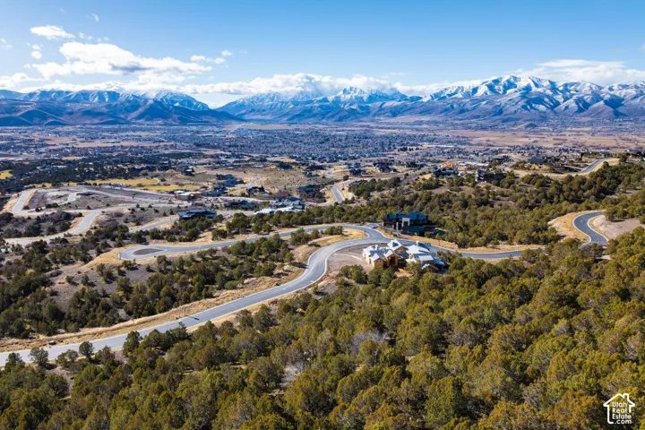 Mountain backdrop, winding paved roads, wooded terrain, and multiple structures