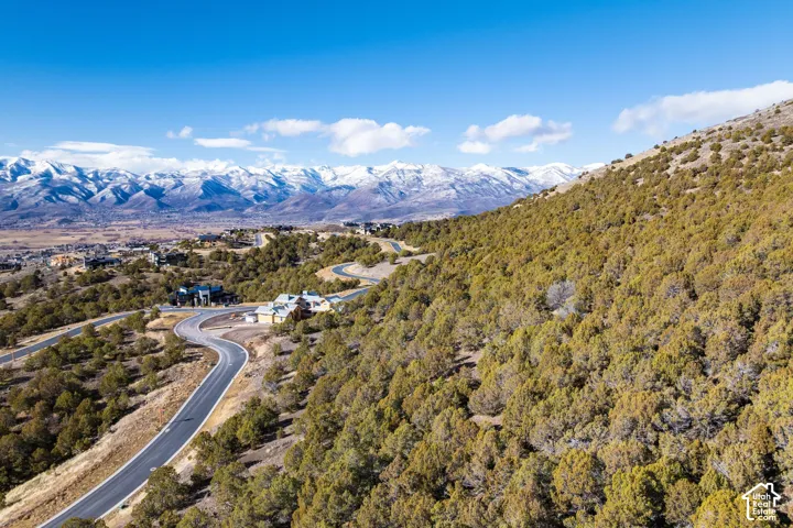 Winding paved roads through a mountainous, treed landscape with distant snow-capped peaks