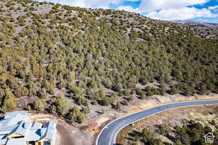 Paved roadway bordering a natural, tree-covered hillside