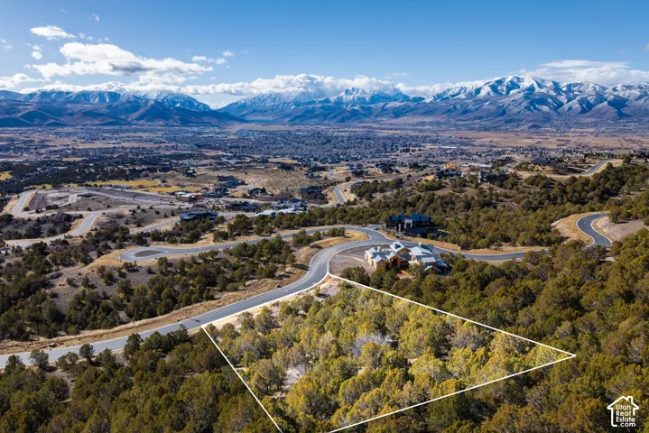 Expansive parcel featuring established trees and a paved road